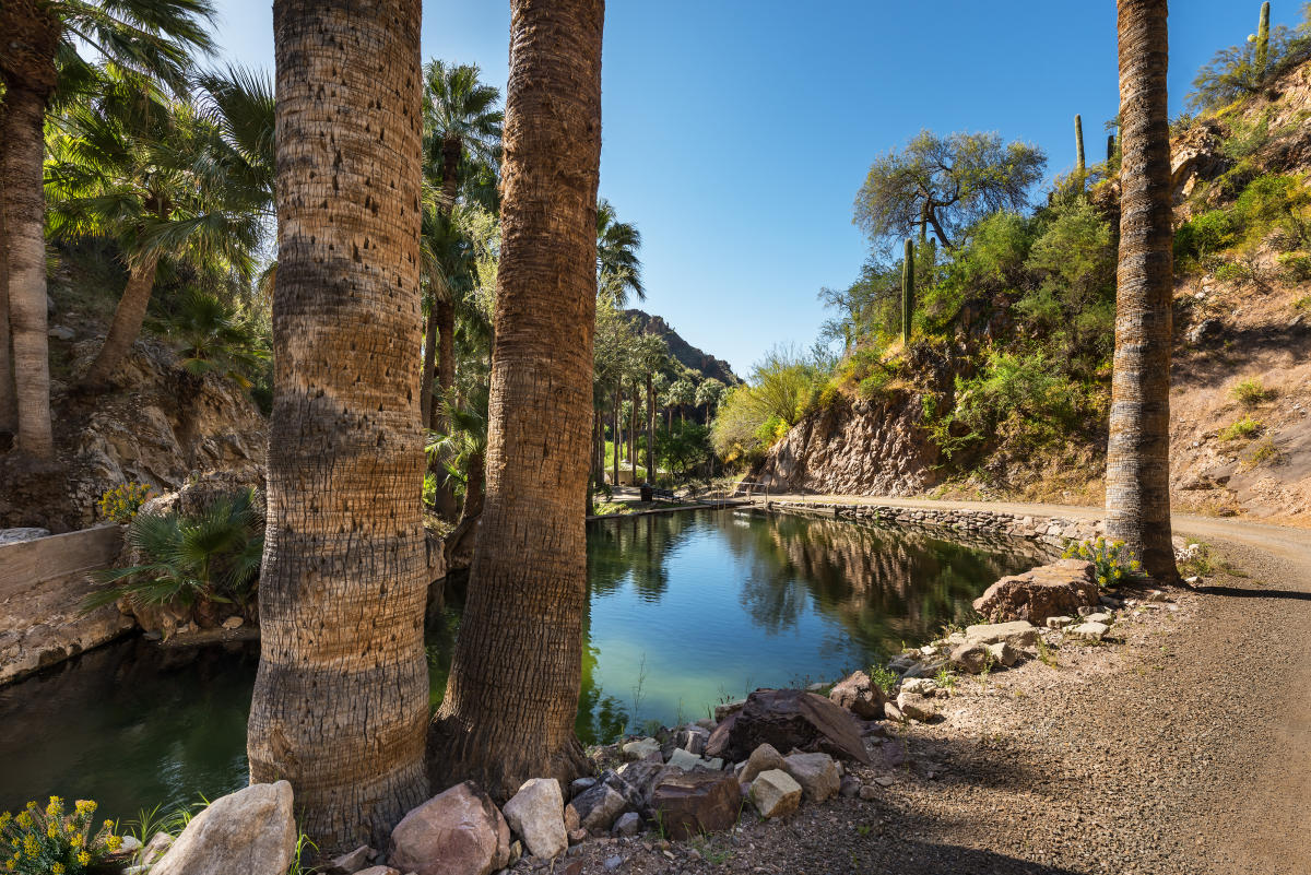 Castle Hot Springs