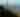 Downtown skyline with saguaro