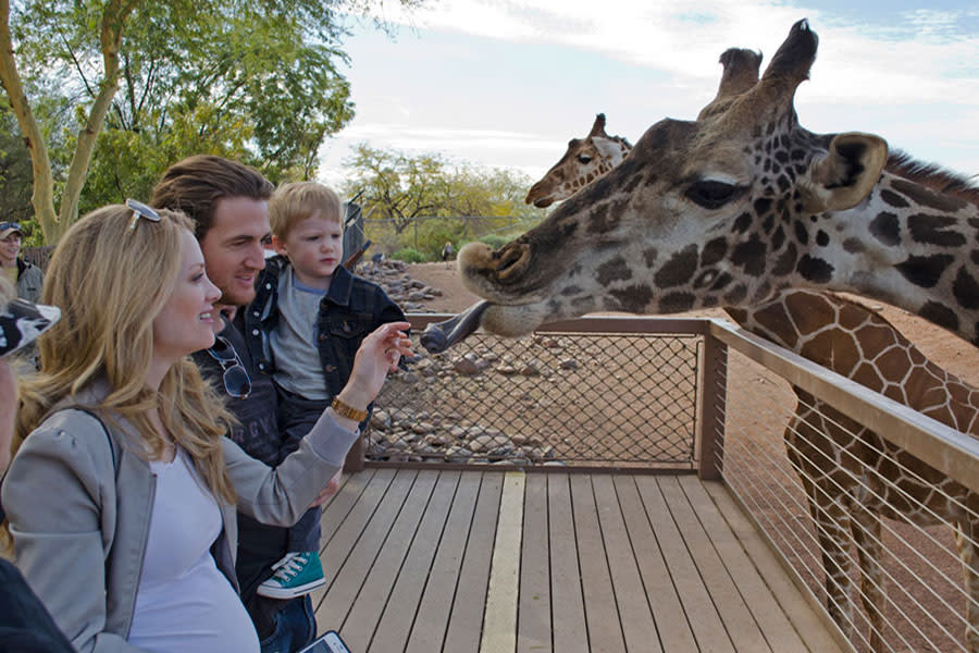 Phoenix Zoo