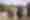 Horseback Riding at Ponderosa Stables