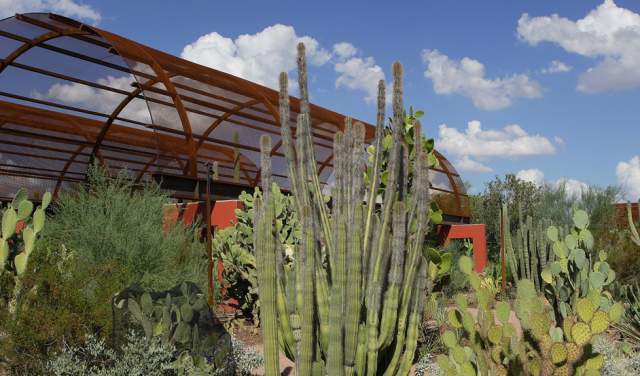 Desert Botanical Garden - Header